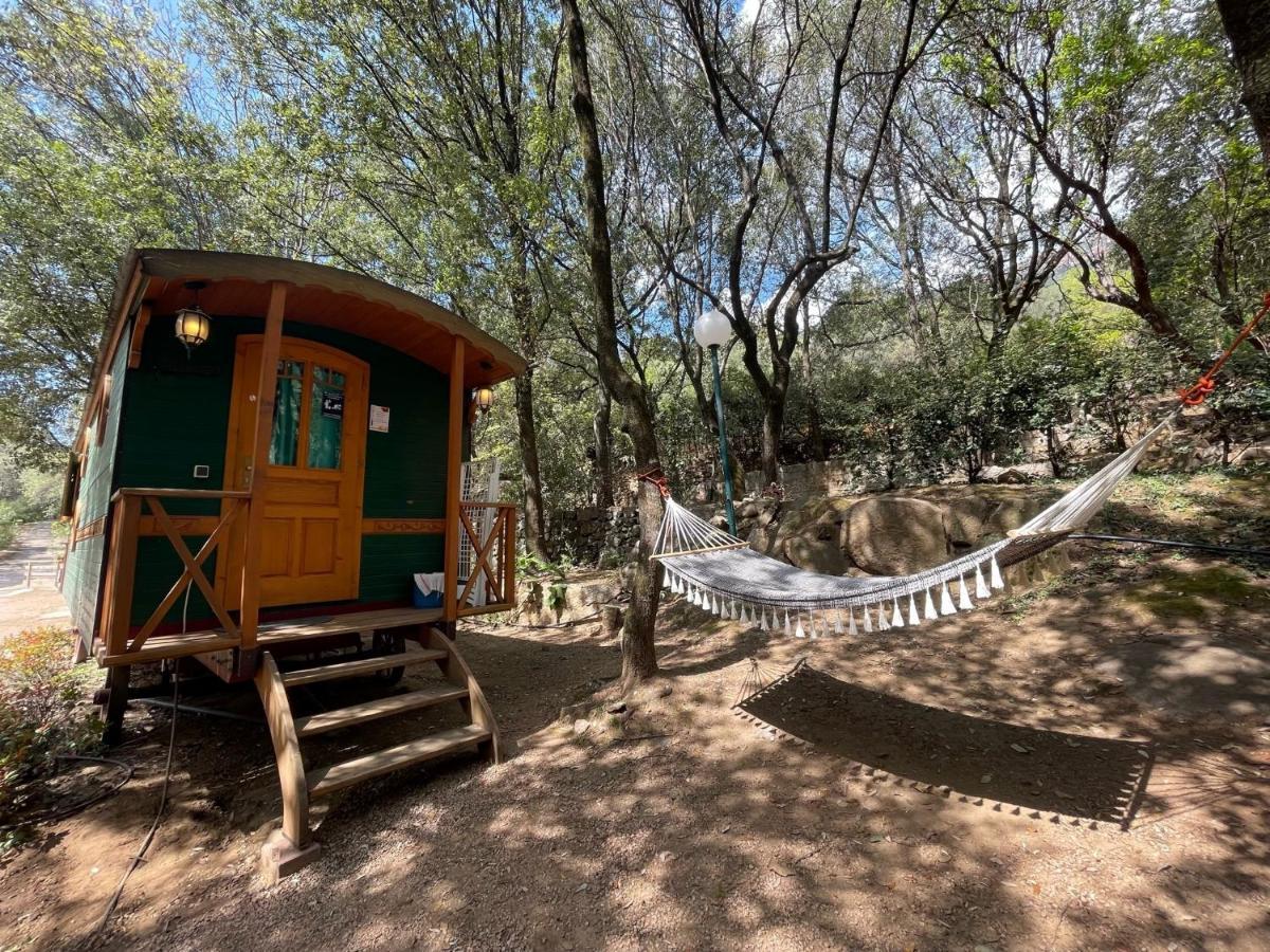 Camping Les Oliviers Porto  エクステリア 写真