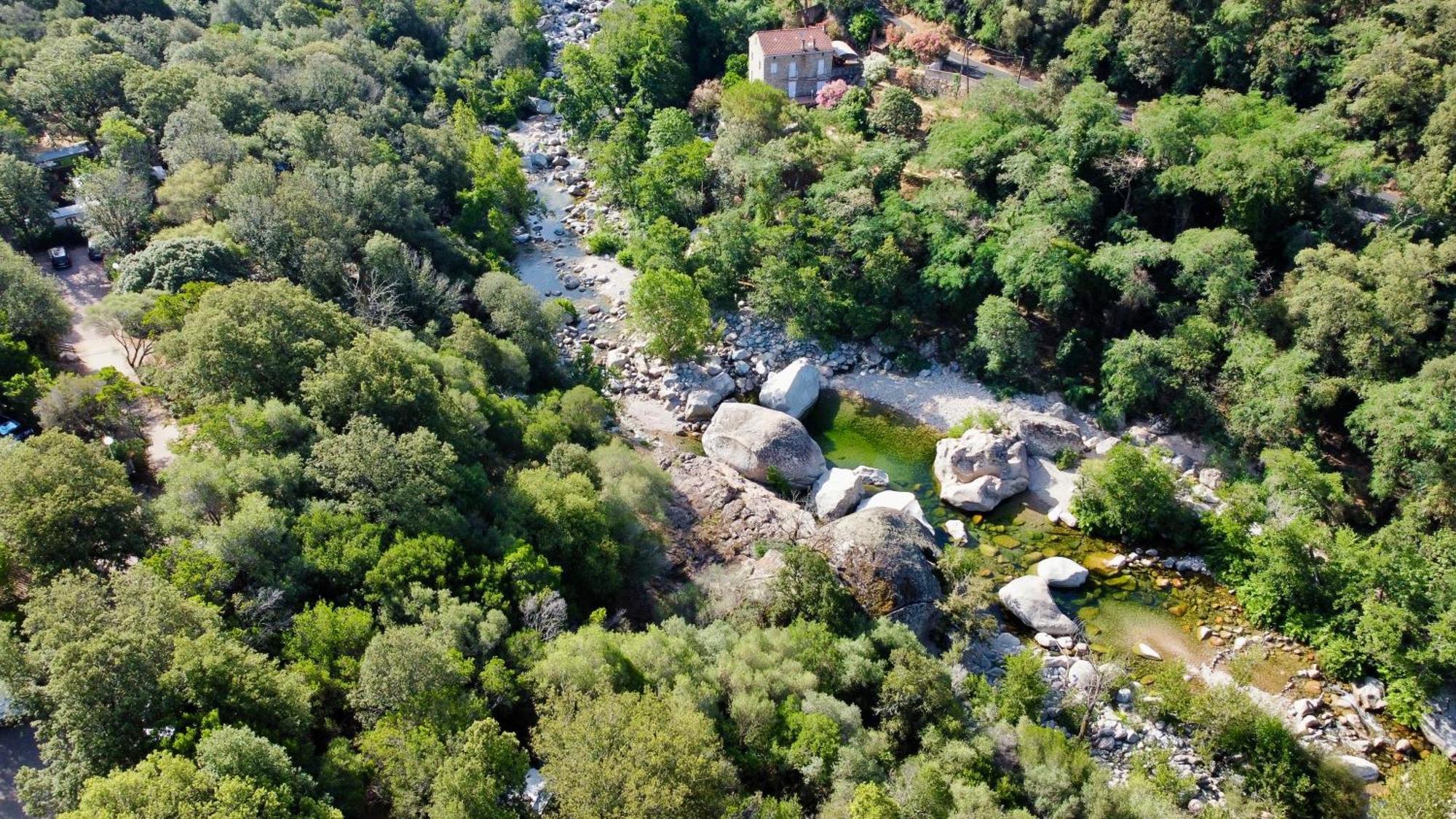 Camping Les Oliviers Porto  エクステリア 写真
