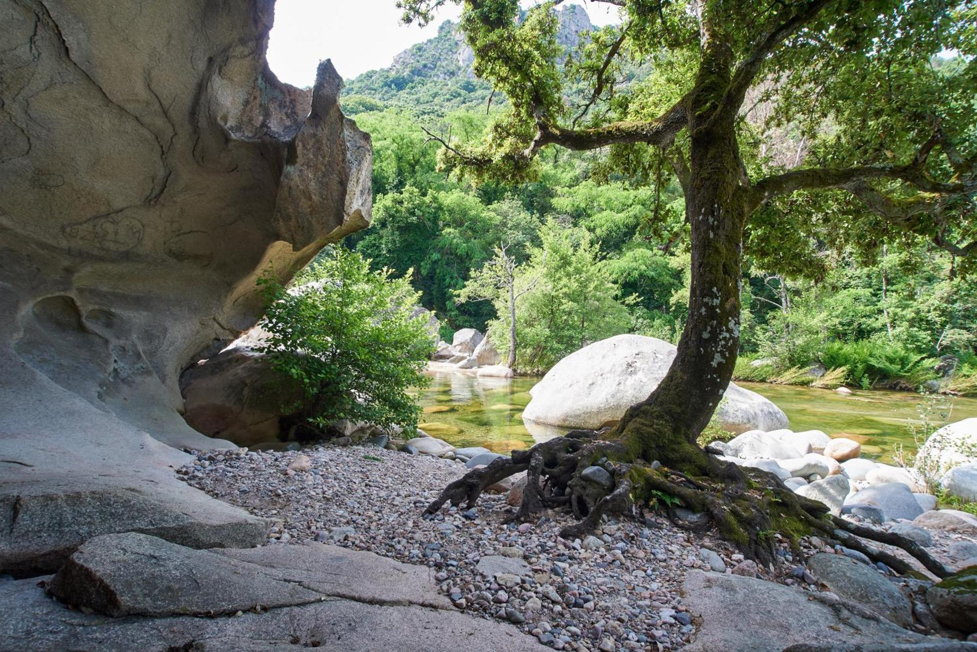 Camping Les Oliviers Porto  エクステリア 写真