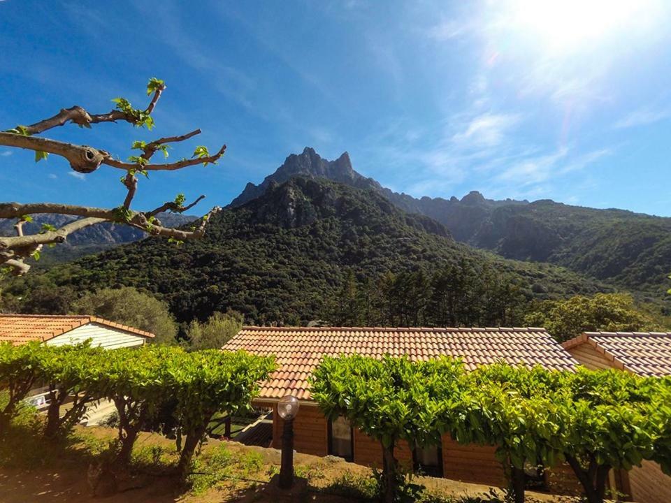 Camping Les Oliviers Porto  エクステリア 写真